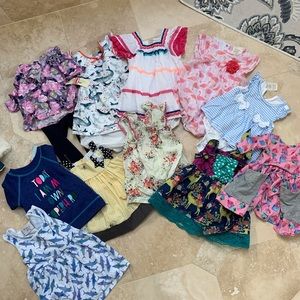 Baby Girl 12 Month Lot